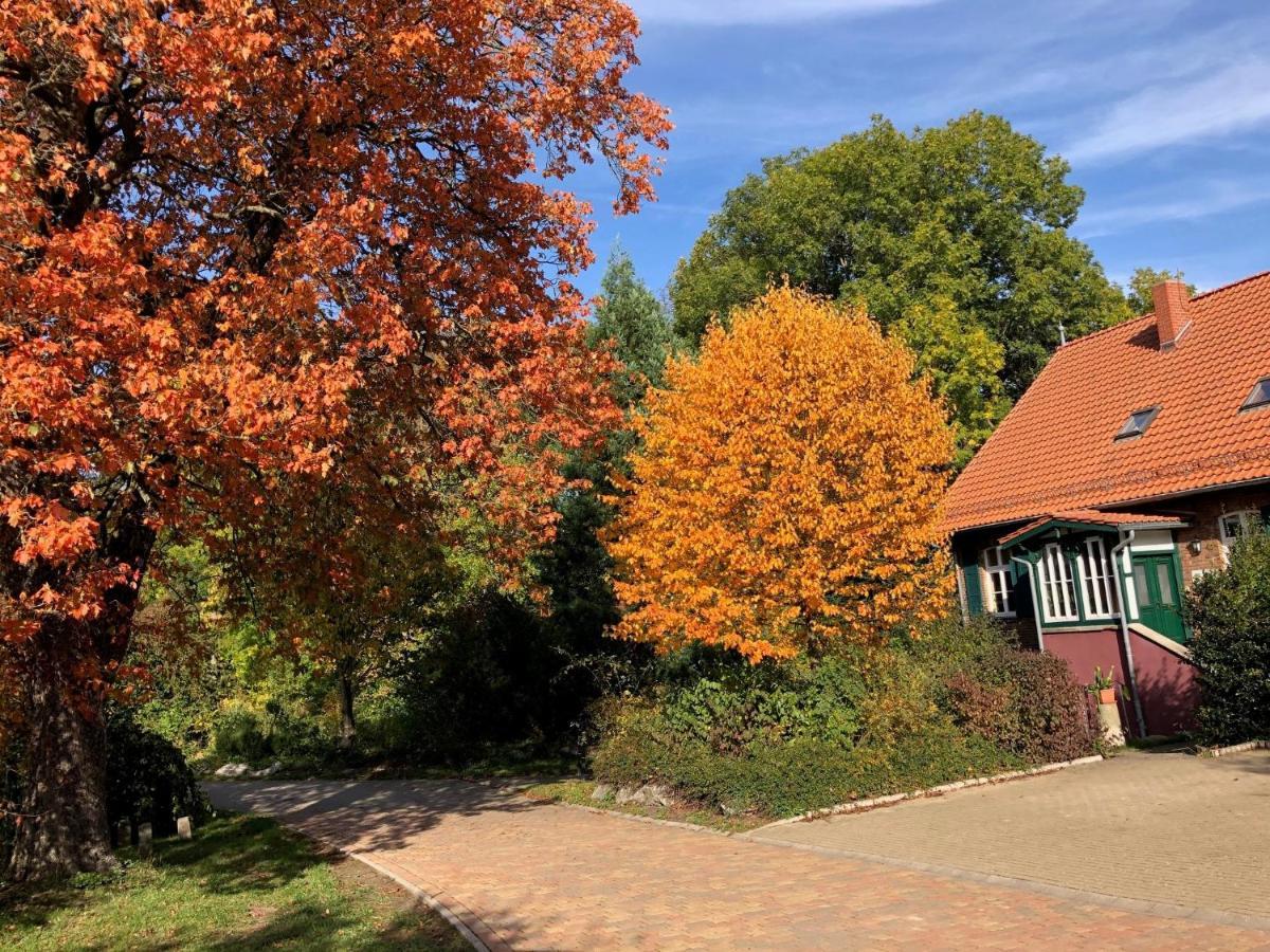 Ferienwohnung Forsthaus Neudorf Harzgerode Exterior foto